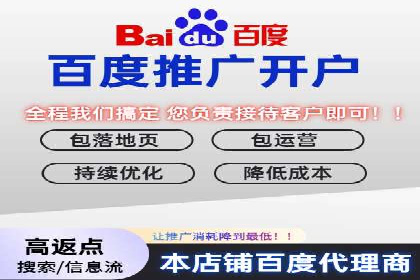 网络营销实战：成功竞价推广案例分析